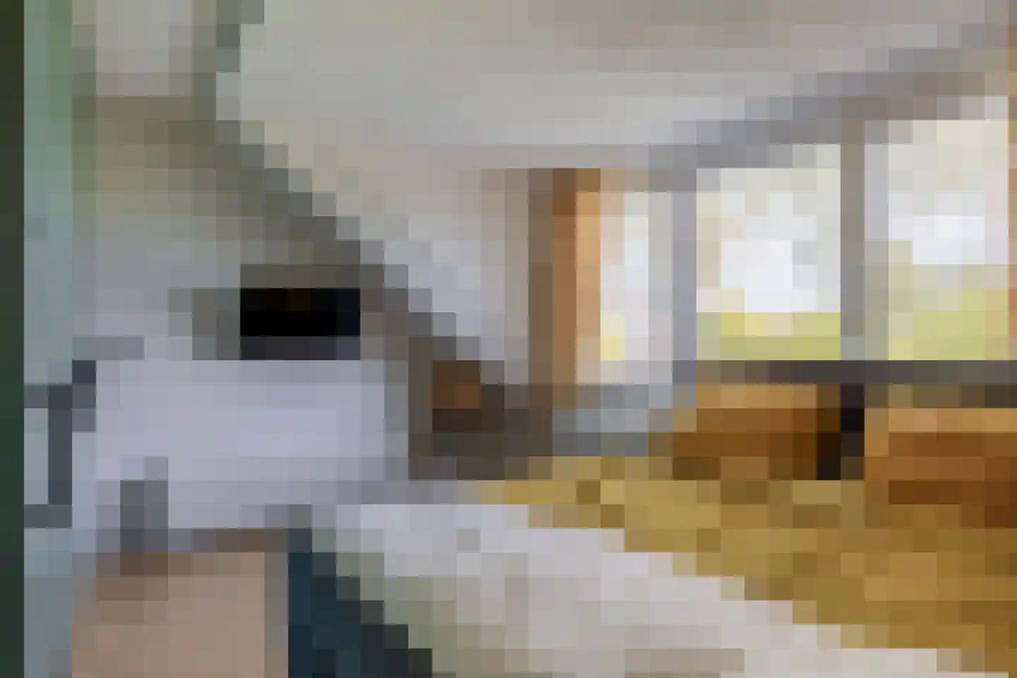 Helena erf 6 Capelle aan den IJssel thumbnail 32