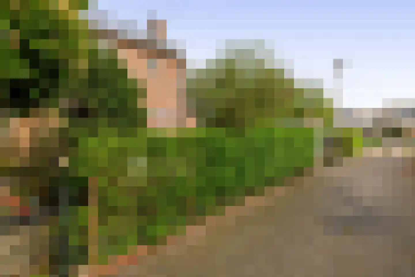 Helena erf 6 Capelle aan den IJssel thumbnail 39