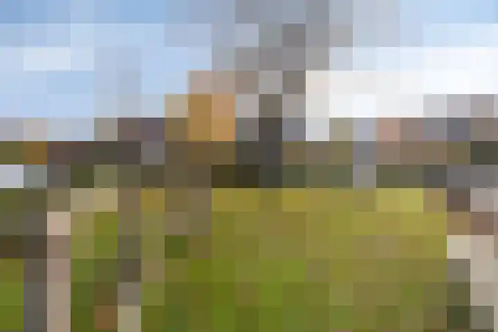 Helena Kuipers-Rietberglaan 36 Heemstede thumbnail 45