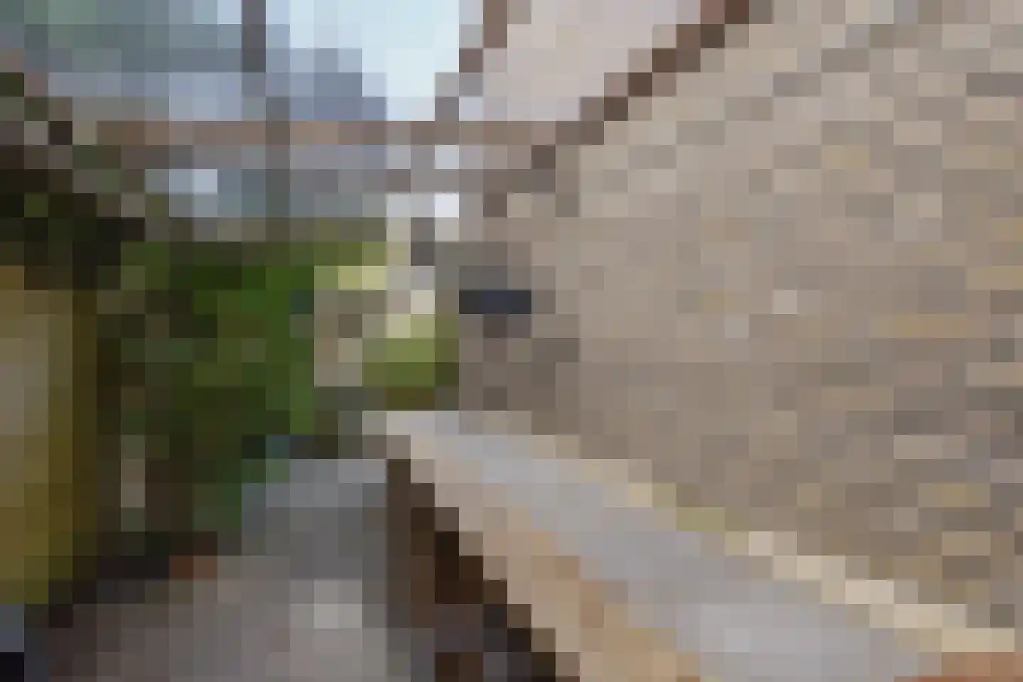Helena Kuipers-Rietbergpad 13 Rijswijk thumbnail 34