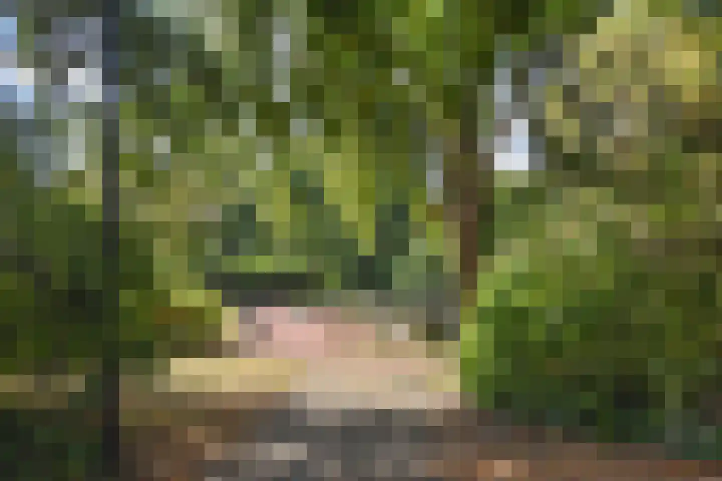 Helena Kuipers-Rietbergpad 13 Rijswijk thumbnail 37