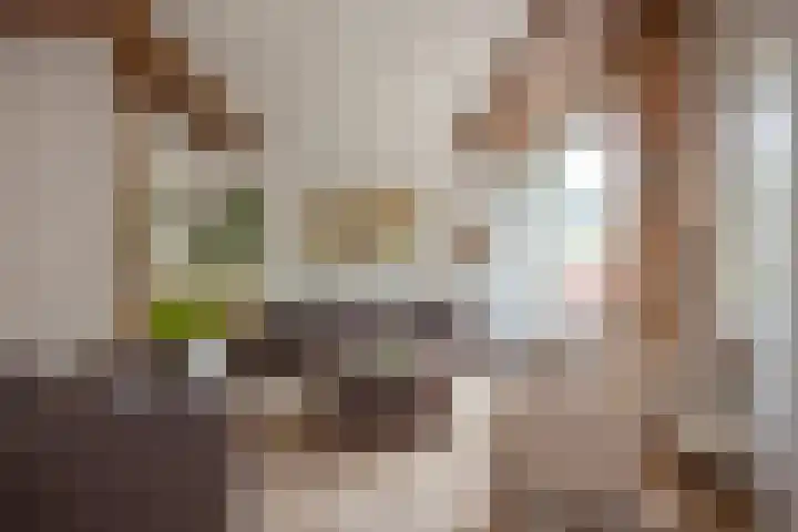 Helena Kuipers-Rietbergpad 35 Rijswijk thumbnail 10