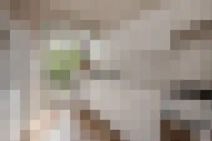 Helena Kuipers-Rietbergpad 35 Rijswijk thumbnail 14