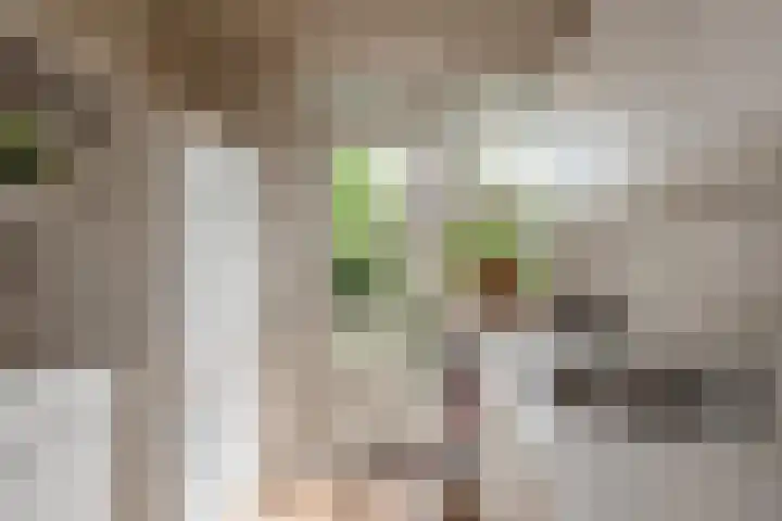 Helena Kuipers-Rietbergpad 35 Rijswijk thumbnail 15