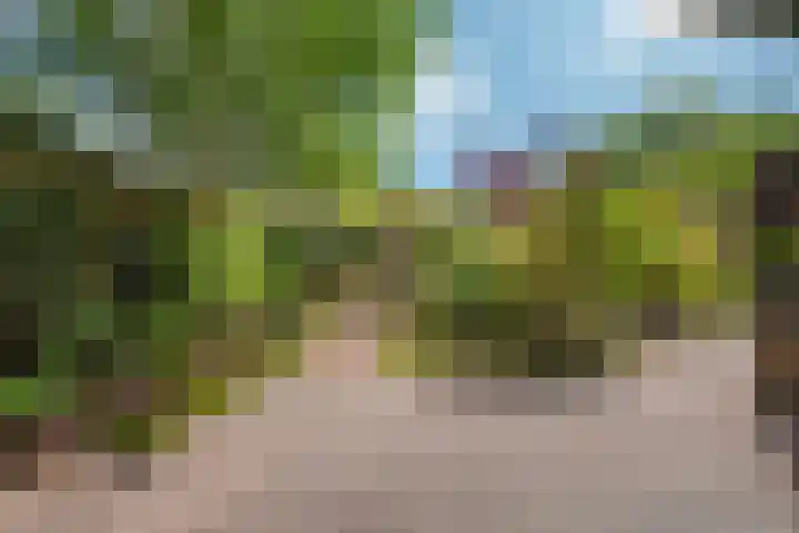 Helena Kuipers-Rietbergpad 35 Rijswijk thumbnail 22