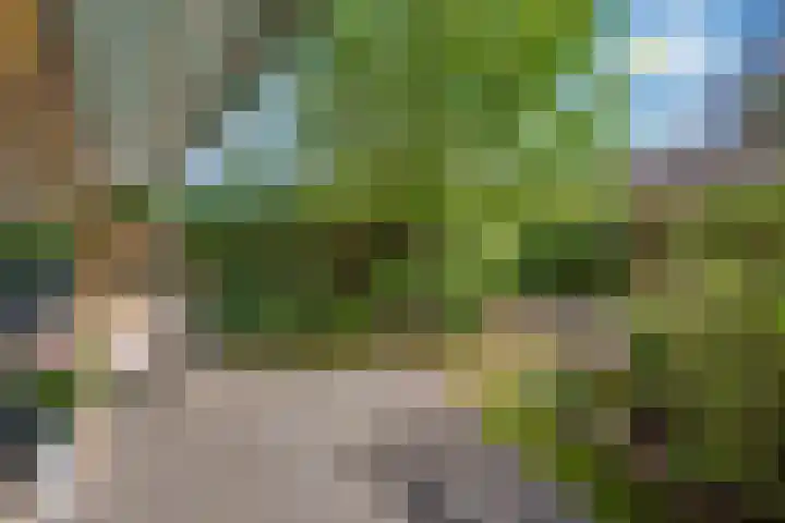 Helena Kuipers-Rietbergpad 35 Rijswijk thumbnail 23