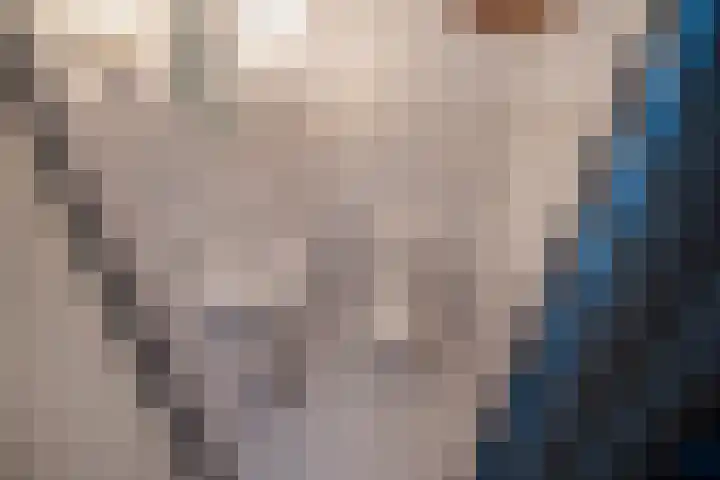 Helena Kuipers-Rietbergpad 35 Rijswijk thumbnail 24