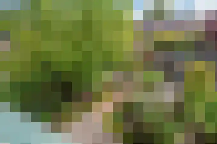 Helena Kuipers-Rietbergpad 35 Rijswijk thumbnail 31