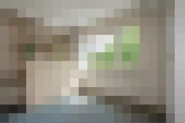 Helena Kuipers-Rietbergpad 35 Rijswijk thumbnail 32