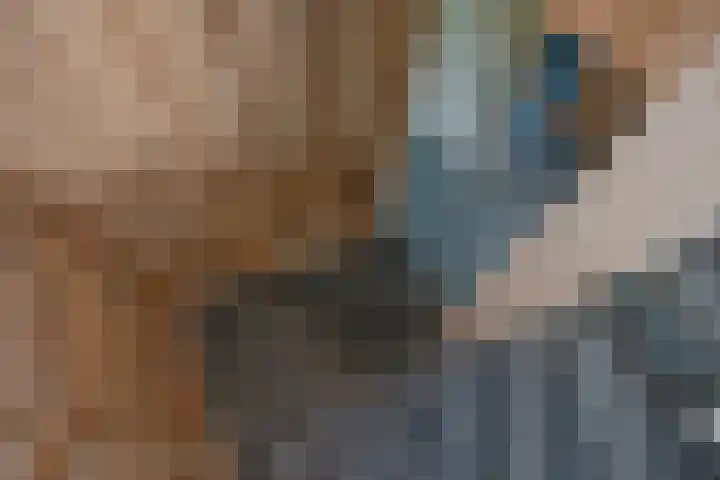 Helena Kuipers-Rietbergpad 35 Rijswijk thumbnail 35