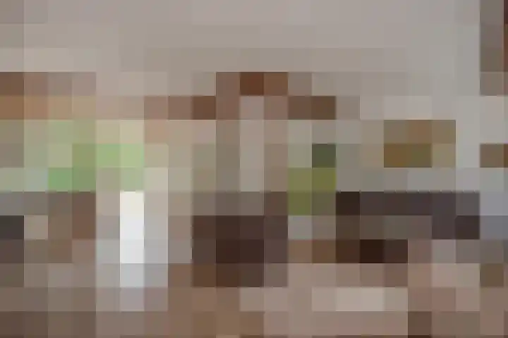 Helena Kuipers-Rietbergpad 35 Rijswijk thumbnail 7