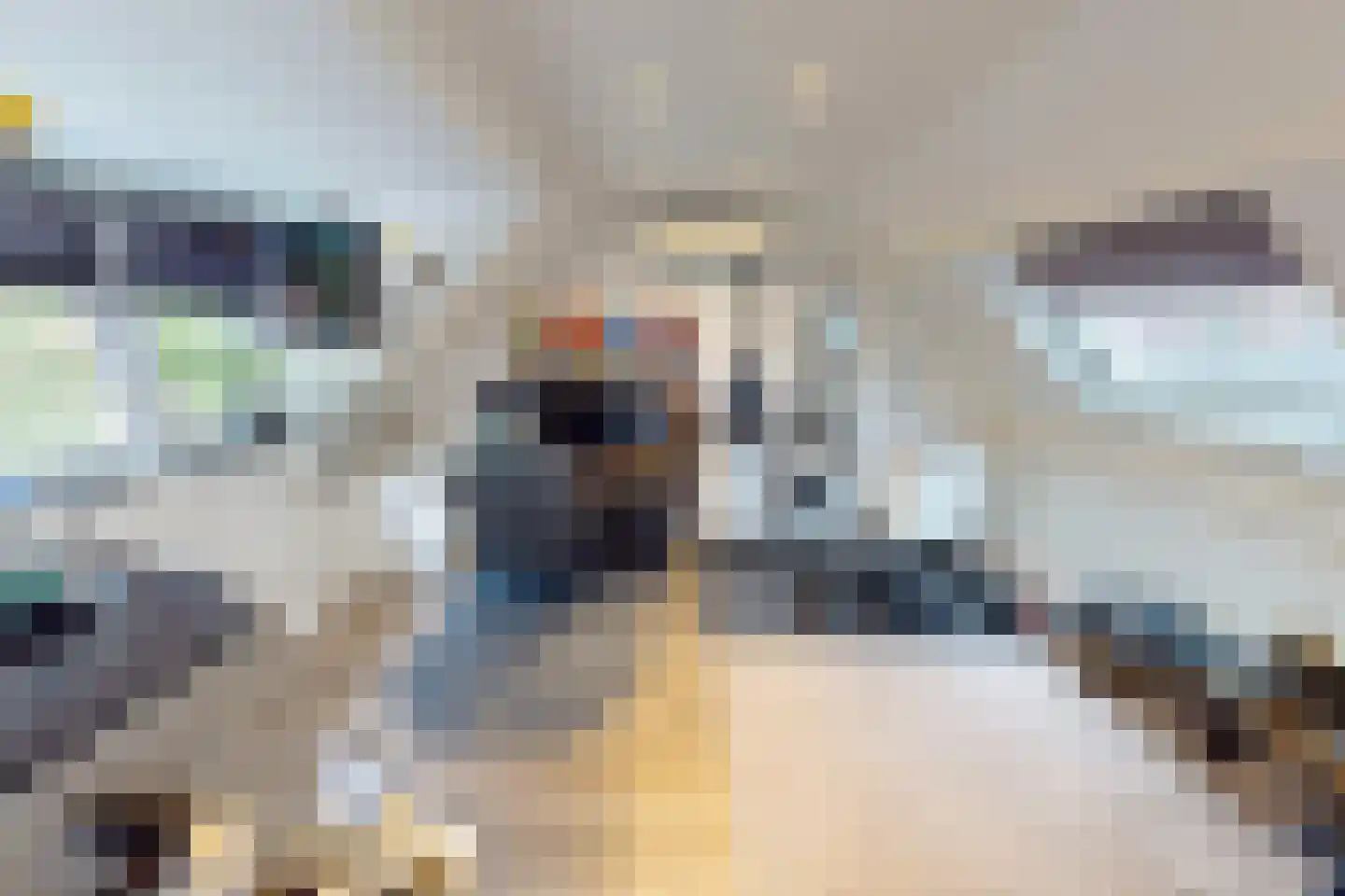 Helena Kuipers-Rietbergstraat 8 Alkmaar thumbnail 60