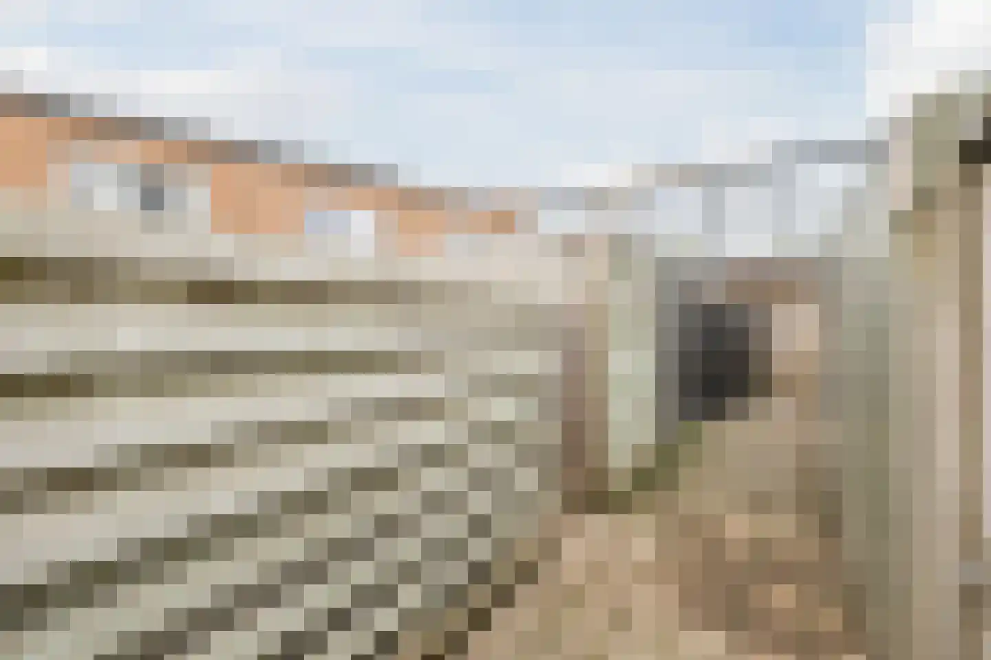 Helena Merciertuin 20 Heerhugowaard thumbnail 39