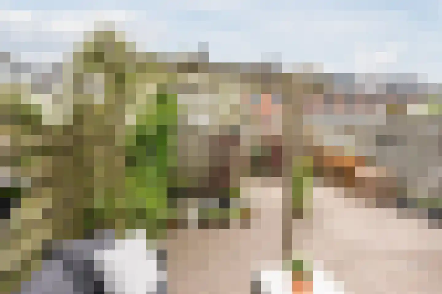 Helena Merciertuin 20 Heerhugowaard thumbnail 4
