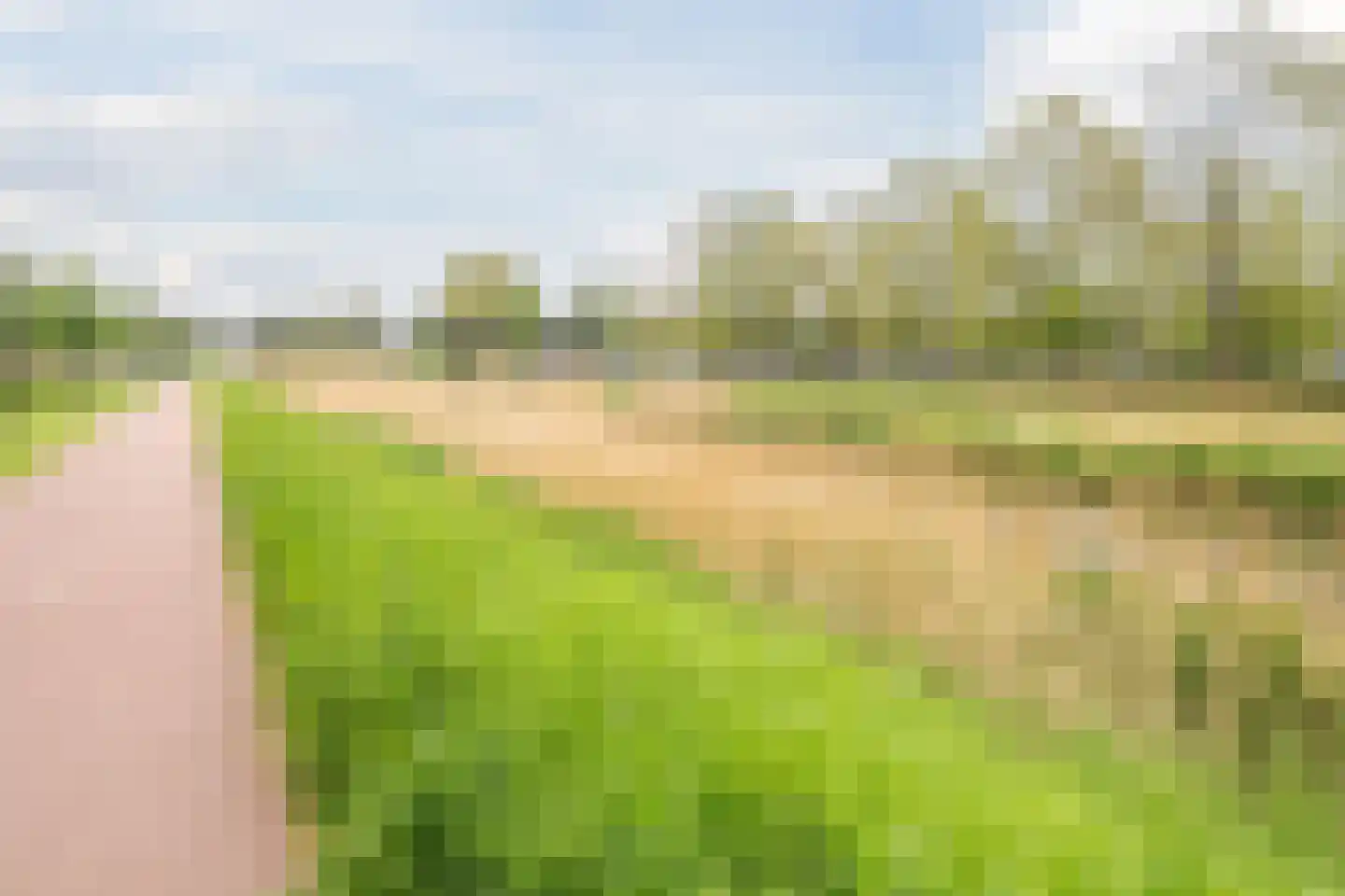 Helena Merciertuin 20 Heerhugowaard thumbnail 42