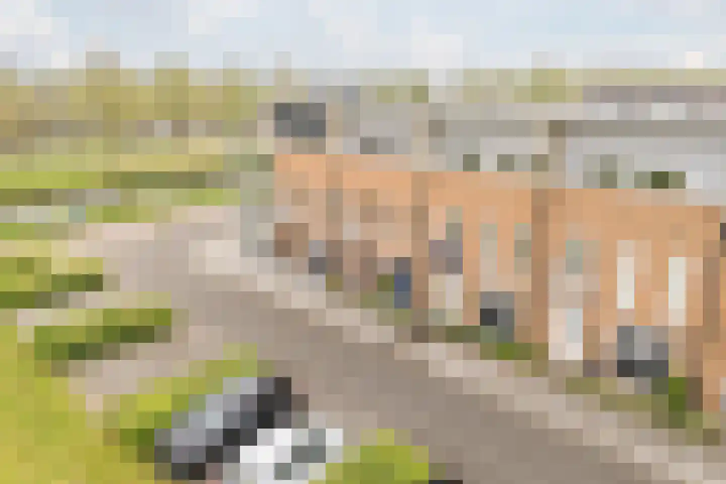 Helena Merciertuin 20 Heerhugowaard thumbnail 45