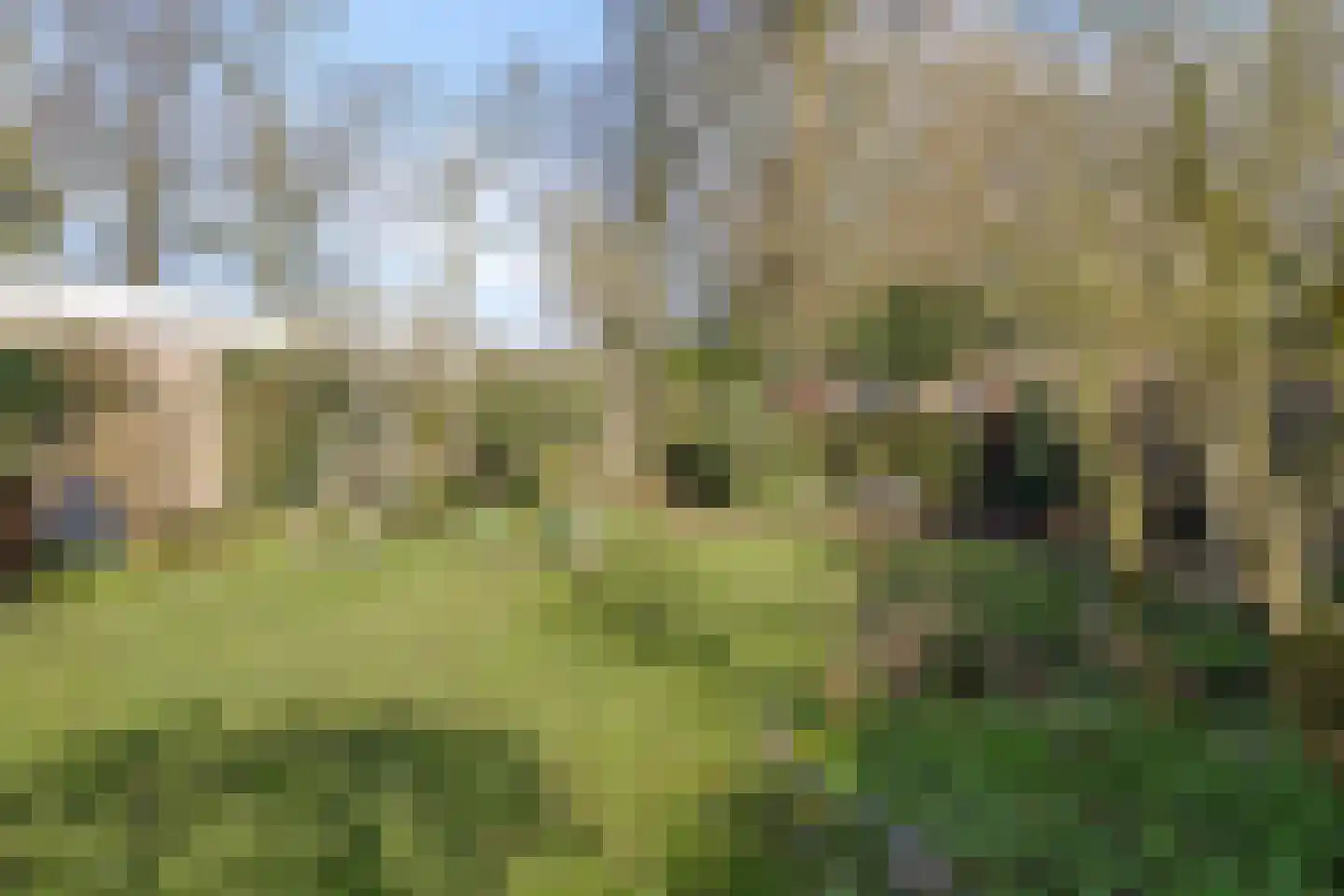 Helenadal 12 Valkenswaard thumbnail 17