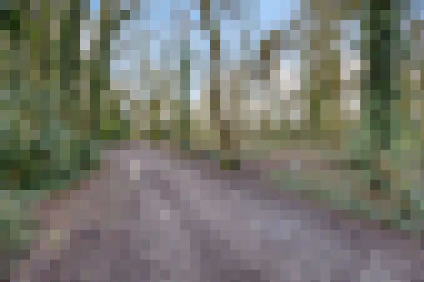 Helenadal 12 Valkenswaard thumbnail 33