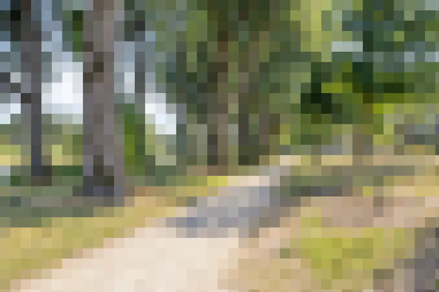 Helenahof 6 Eindhoven thumbnail 32