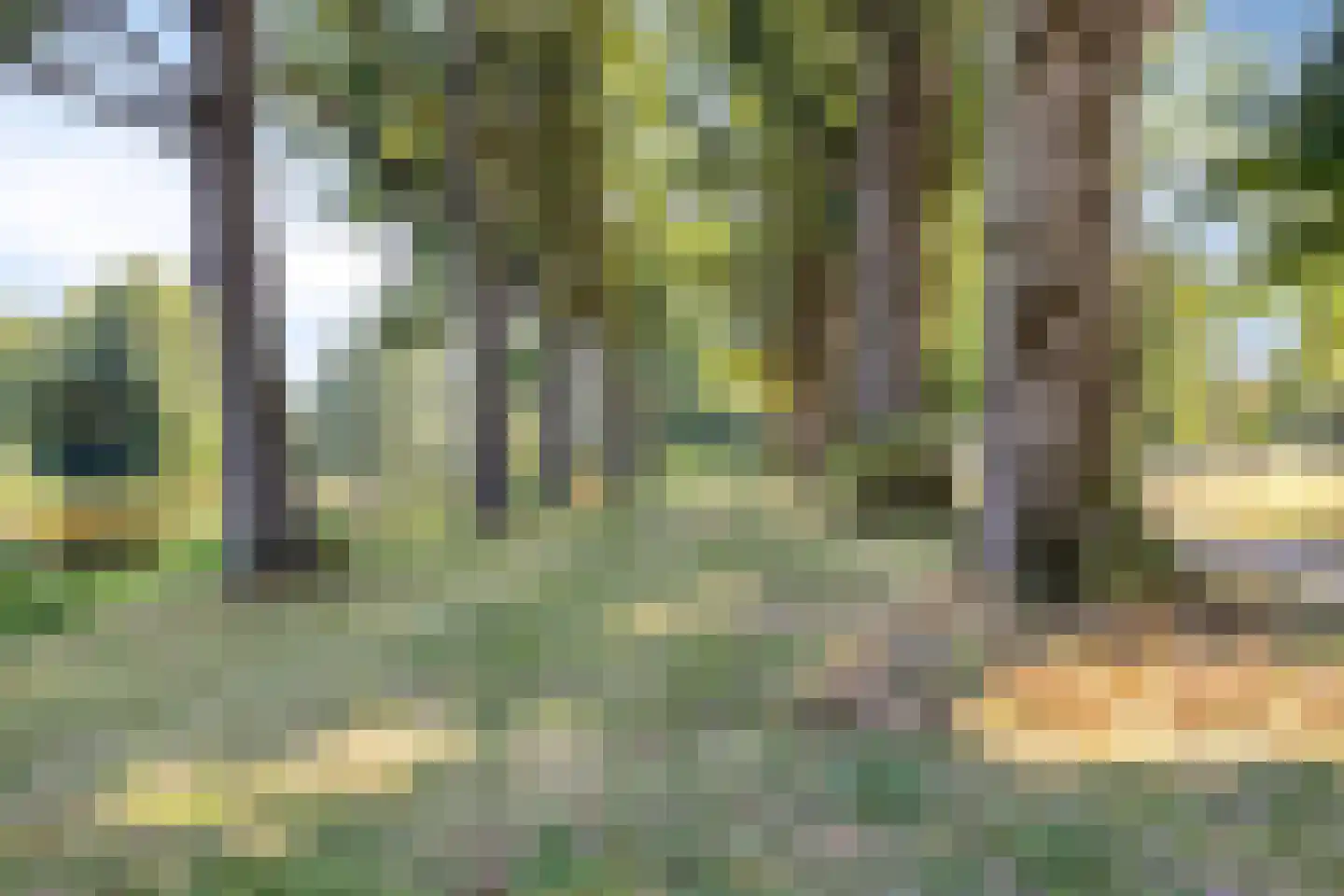 Helenahof 6 Eindhoven thumbnail 33