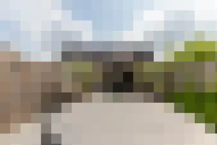 Helenapolder 21 Barendrecht thumbnail 45
