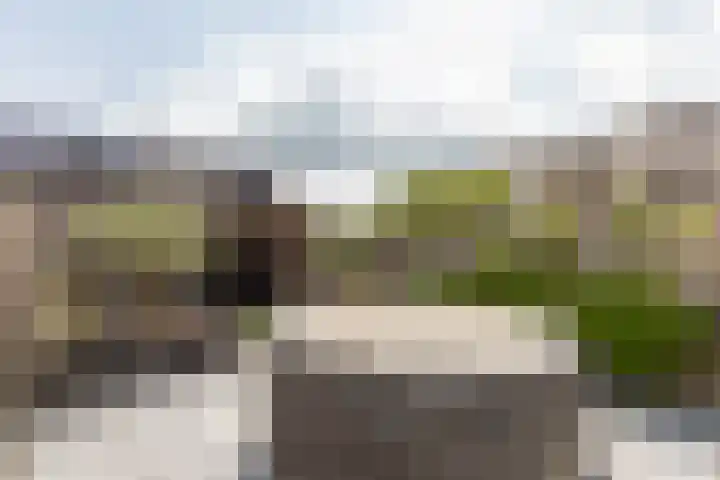 Helenapolder 21 Barendrecht thumbnail 46