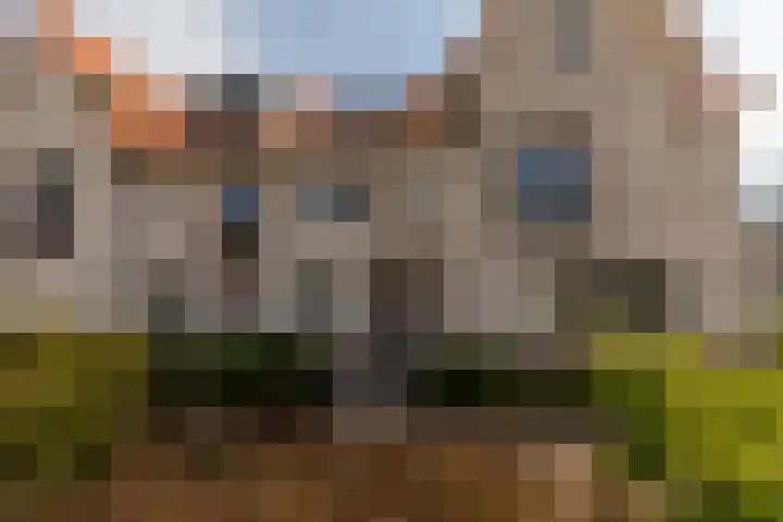 Helenapolder 21 Barendrecht thumbnail 55