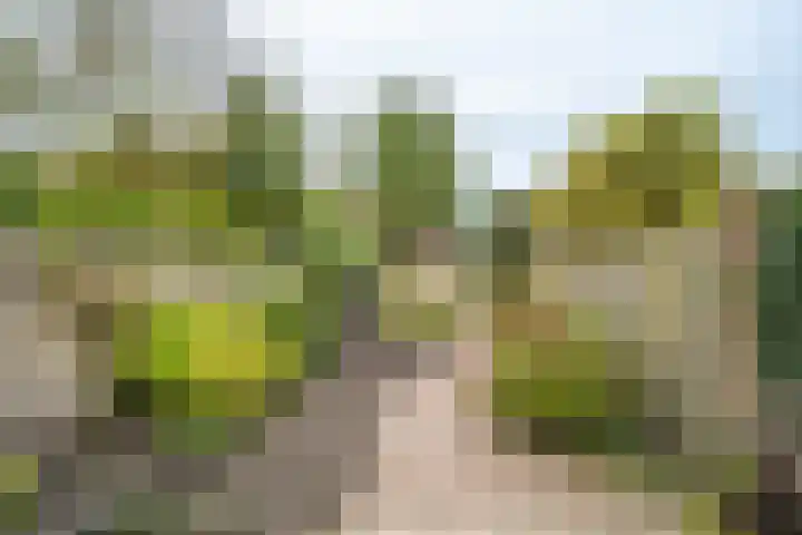 Helenastraat 16 Uden thumbnail 11