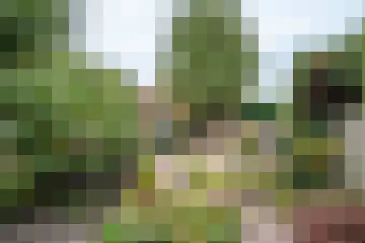 Helenastraat 16 Uden thumbnail 12