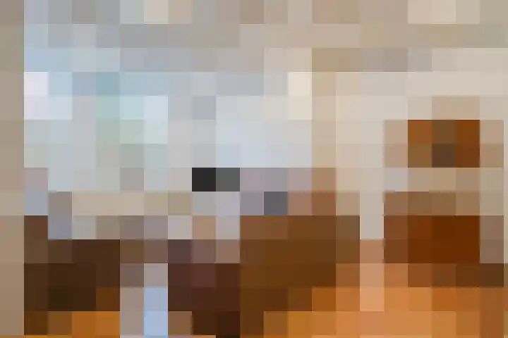 Helenastraat 16 Uden thumbnail 15