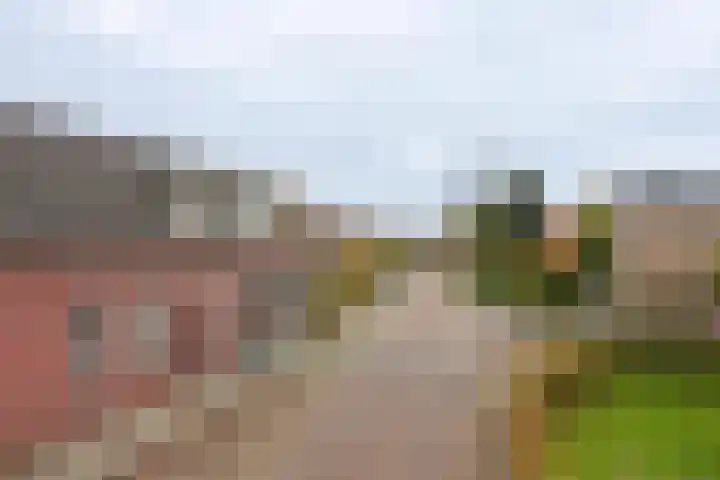 Helenastraat 16 Uden thumbnail 4