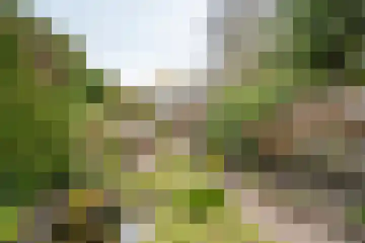 Helenastraat 16 Uden thumbnail 8