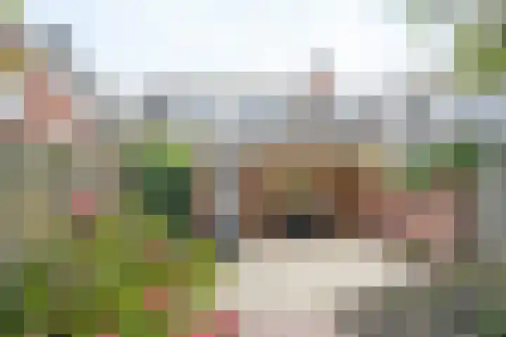 Helenastraat 16 Uden thumbnail 9