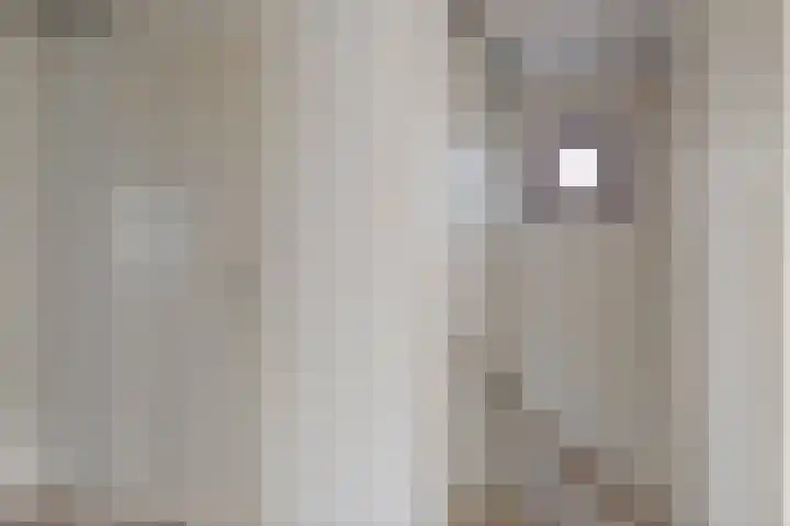 Helenaveenseweg 20 Grashoek thumbnail 18