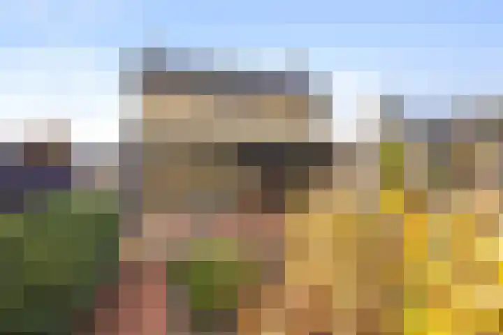 Helenaveenseweg 20 Grashoek thumbnail 27