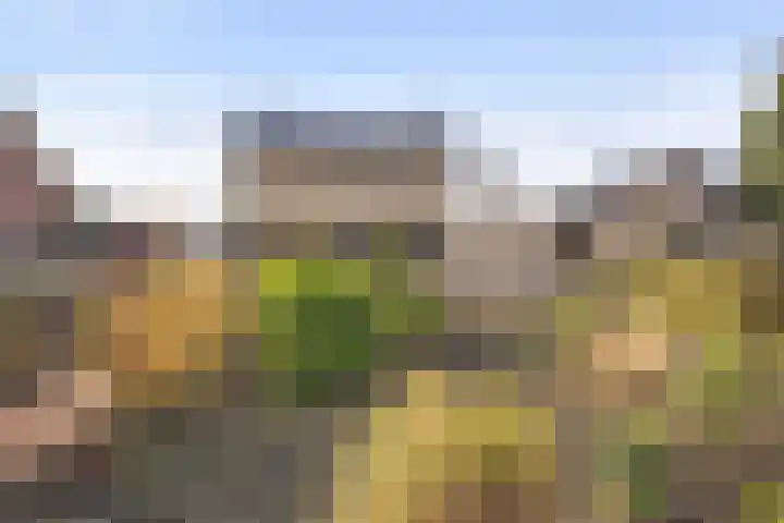 Helenaveenseweg 20 Grashoek thumbnail 28