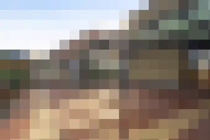 Helenaveenseweg 20 Grashoek thumbnail 30