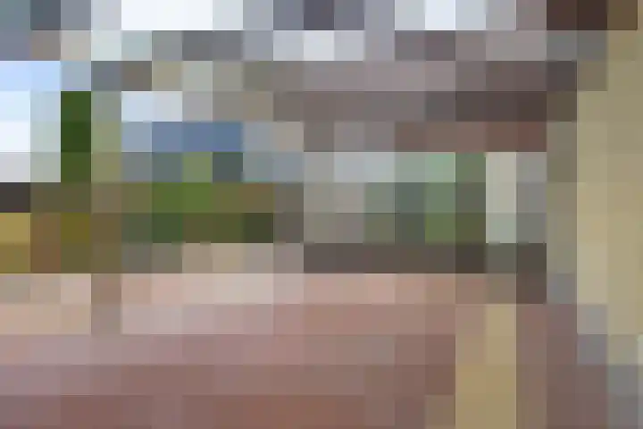 Helenaveenseweg 20 Grashoek thumbnail 31