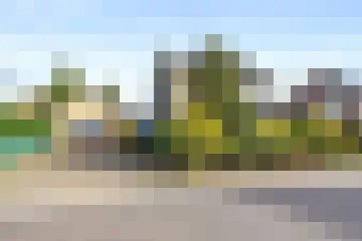 Helenaveenseweg 20 Grashoek thumbnail 38