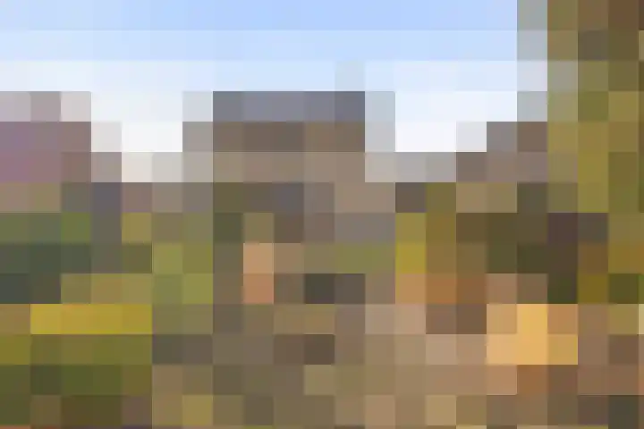 Helenaveenseweg 20 Grashoek thumbnail 40
