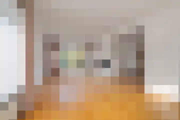 Helenaveenseweg 20 Grashoek thumbnail 6