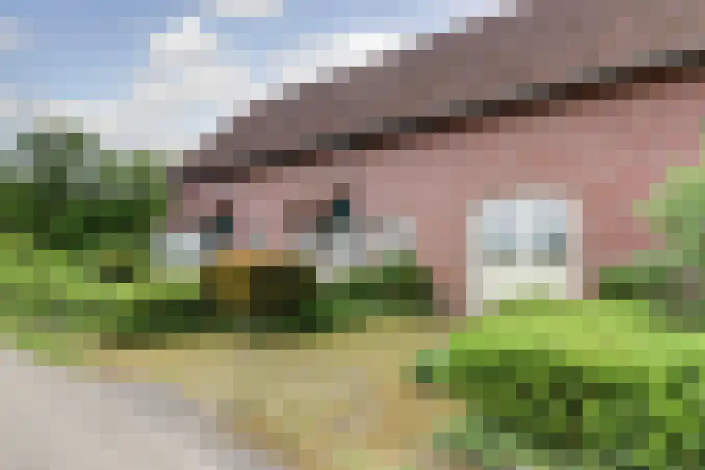 Helenaveenseweg 41 Grashoek thumbnail 4