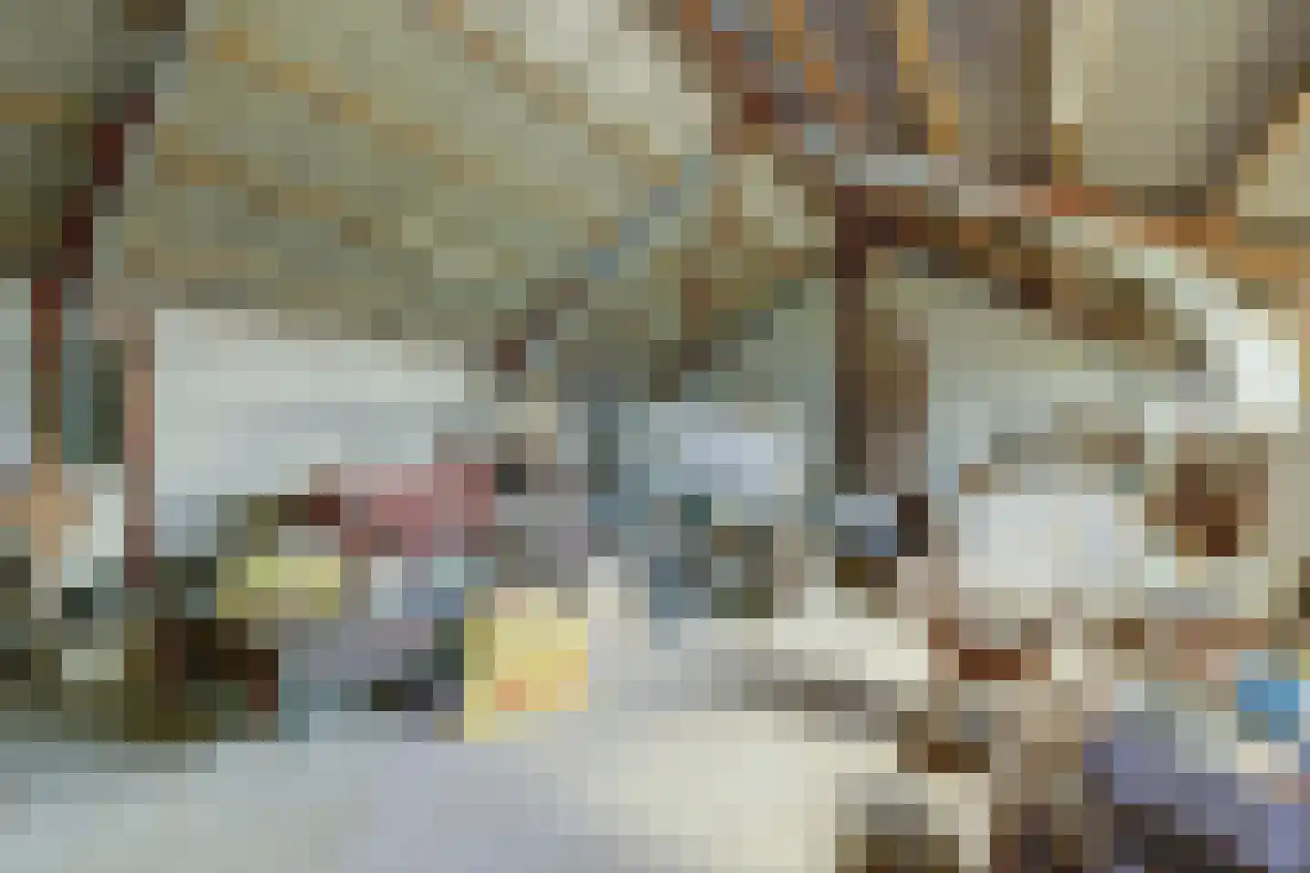 Helenaveenseweg 41 Grashoek thumbnail 47