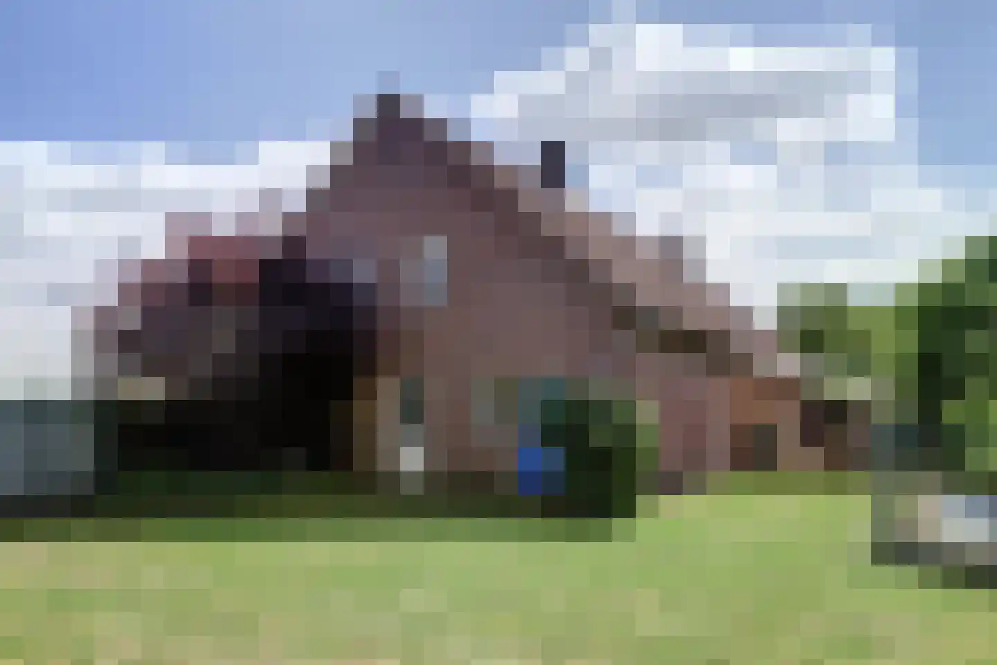Helenaveenseweg 41 Grashoek thumbnail 49