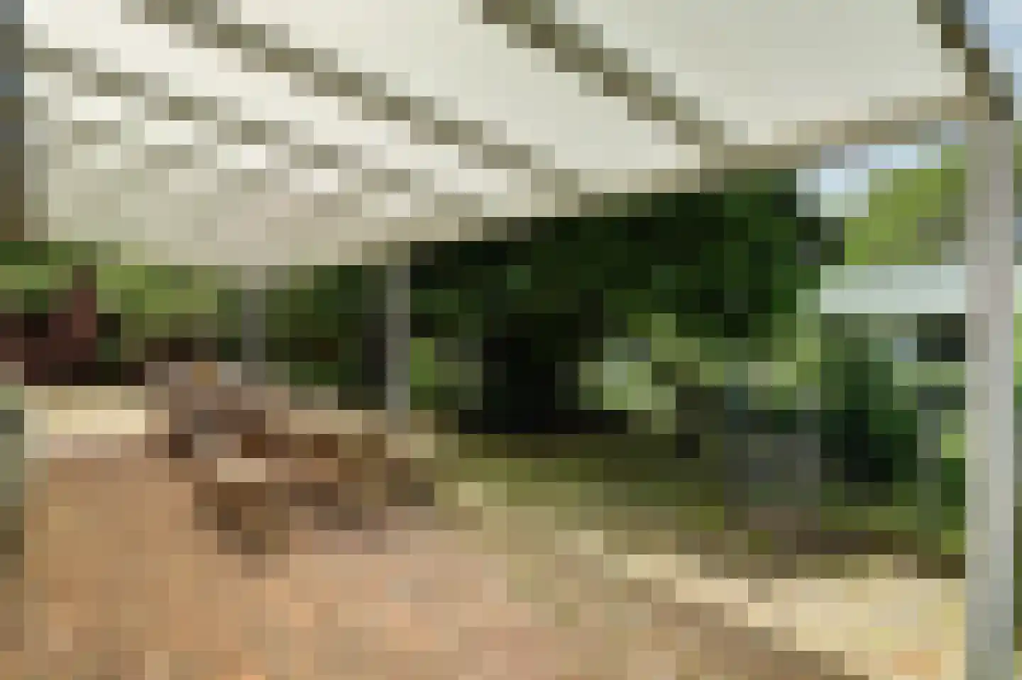Helenaveenseweg 41 Grashoek thumbnail 50