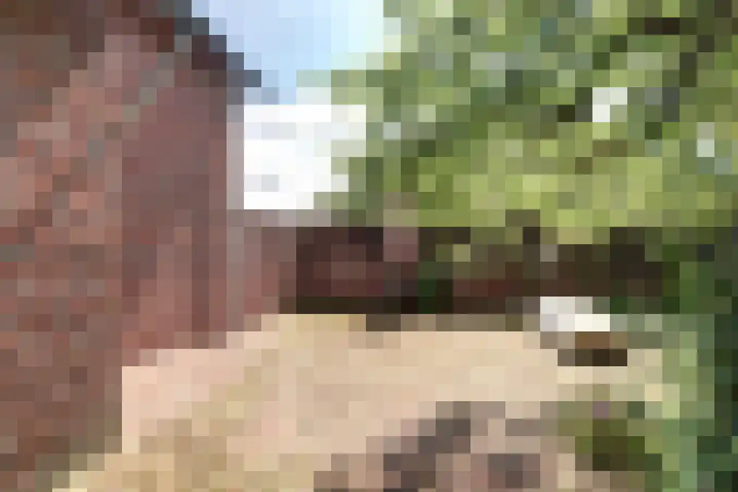 Helenaveenseweg 41 Grashoek thumbnail 51