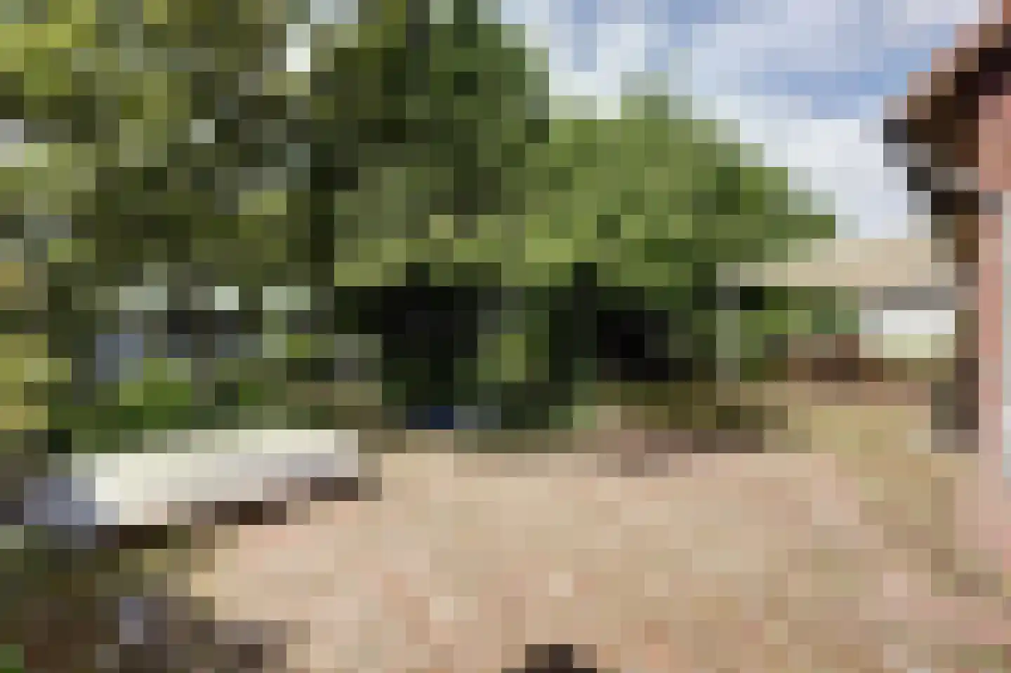 Helenaveenseweg 41 Grashoek thumbnail 52