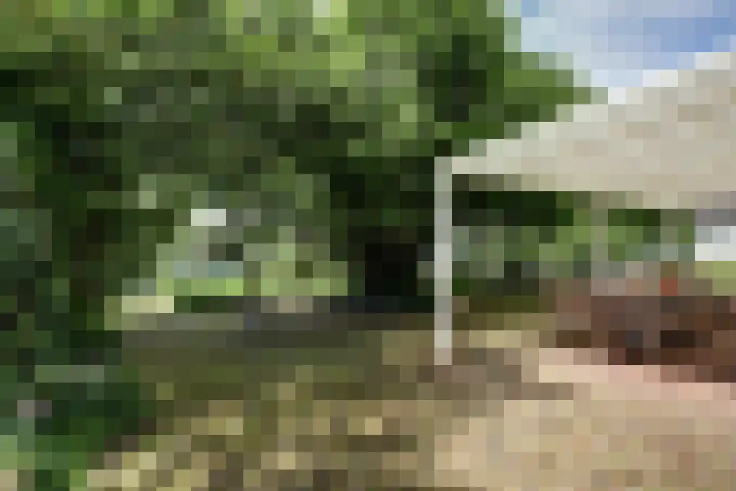 Helenaveenseweg 41 Grashoek thumbnail 53