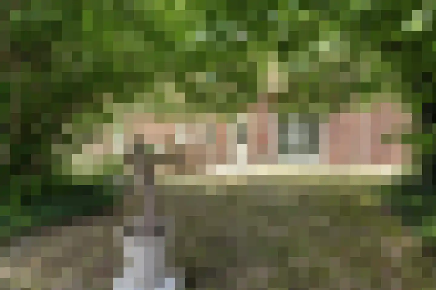 Helenaveenseweg 41 Grashoek thumbnail 54