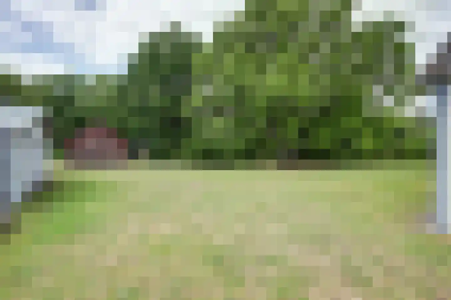 Helenaveenseweg 41 Grashoek thumbnail 58